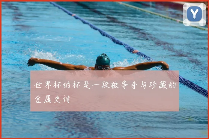世界杯的杯是一段被争夺与珍藏的金属史诗