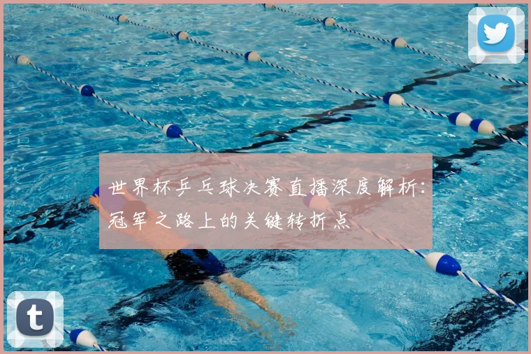 世界杯乒乓球决赛直播深度解析：冠军之路上的关键转折点