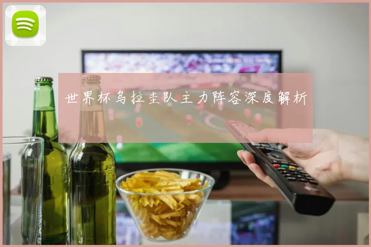 世界杯乌拉圭队主力阵容深度解析