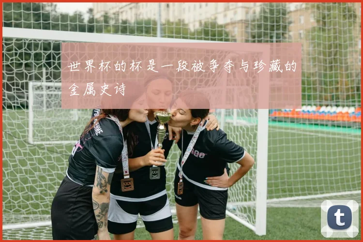 世界杯的杯是一段被争夺与珍藏的金属史诗