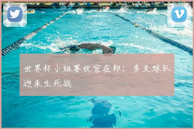 世界杯小组赛收官在即:多支球队迎来生死战