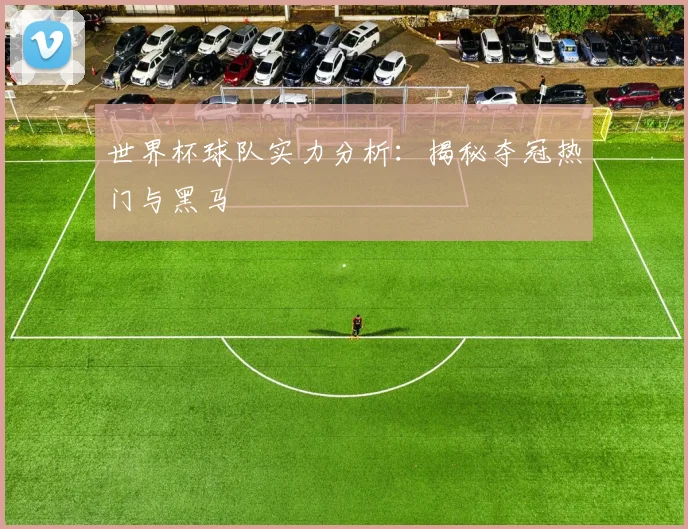 世界杯球队实力分析:揭秘夺冠热门与黑马