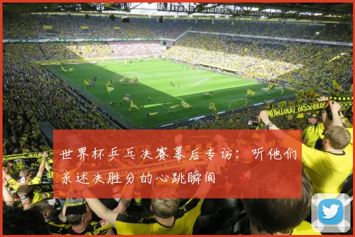 世界杯乒乓决赛幕后专访：听他们亲述决胜分的心跳瞬间
