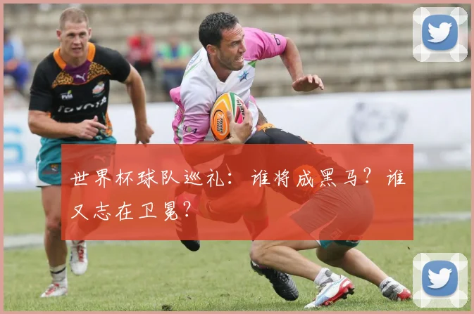 世界杯球队巡礼：谁将成黑马？谁又志在卫冕？