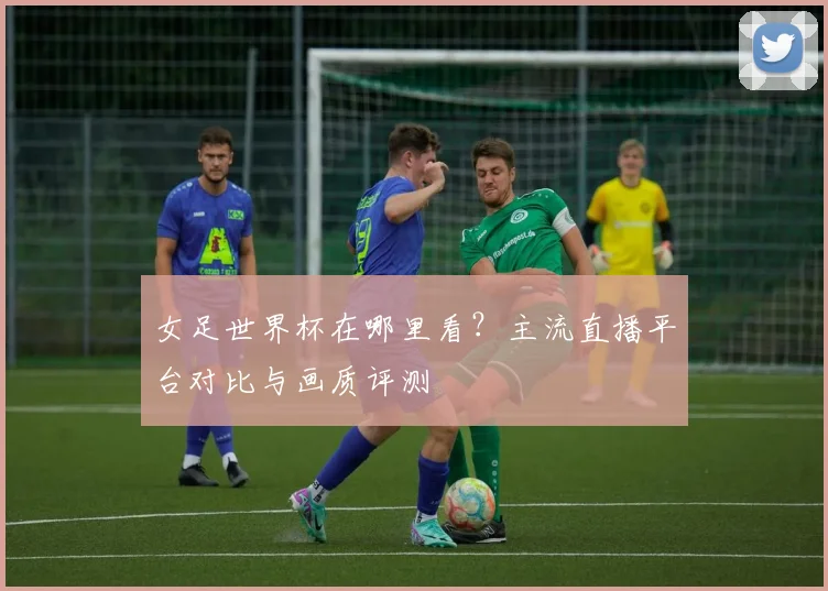 女足世界杯在哪里看？主流直播平台对比与画质评测