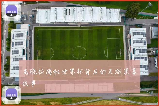 高晓松揭秘世界杯背后的足球黑幕故事