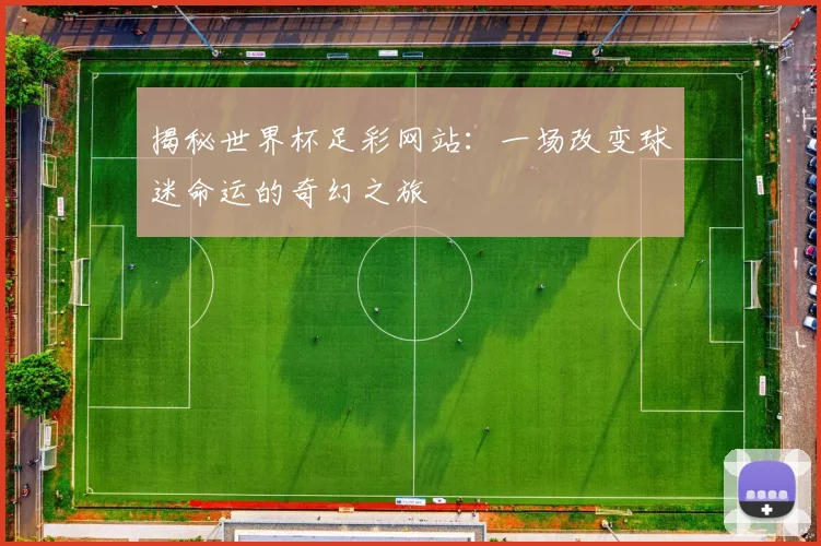 揭秘世界杯足彩网站：一场改变球迷命运的奇幻之旅