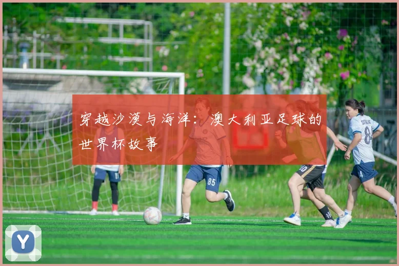 穿越沙漠与海洋：澳大利亚足球的世界杯故事